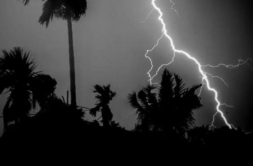ছবি: সংগৃহিত