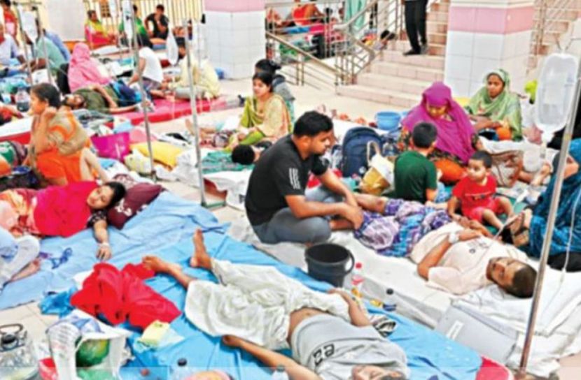 মশক নিয়ন্ত্রণের জন্য আসছে ‘১০০-তে ১০০’ কর্মসূচি