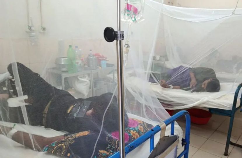 ঢাকা ফেরতদের শরীরে ডেঙ্গু, পঞ্চগড়ে স্থানীয় সংক্রমণ নেই