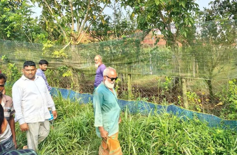 ঝিনাইদহে ড্রাগন বাগানের বৈদ্যুতিক ফাঁদে কিশোরের মৃত্যু