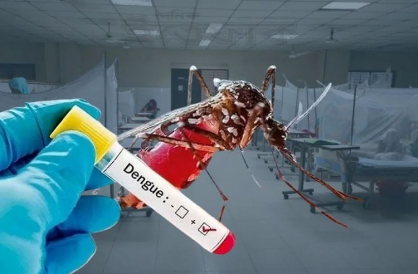 ডেঙ্গুতে রেকর্ড ১০ মৃত্যু, হাসপাতালে ১৯৯৬