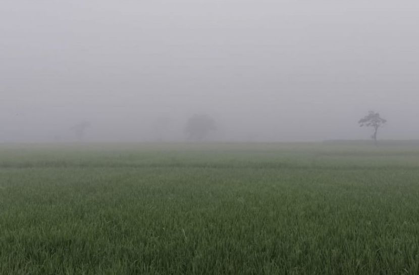 তিস্তার চরাঞ্চলে ভোর নামছে কুয়াশার চাদরে