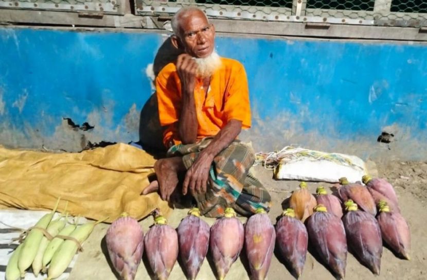 কলার মোচা বিক্রি করেই ২০ বছর পার মজিবরের
