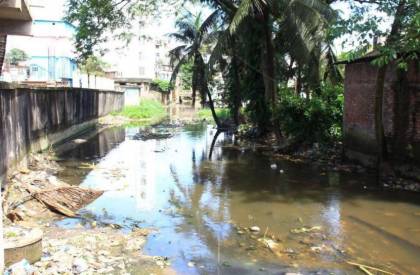 ছবি: সান নিউজ