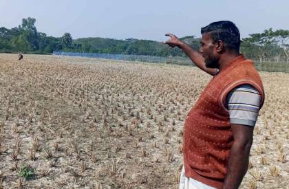 ছবি: সান নিউজ