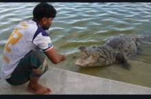 তপু ও ধলা পাহাড়ের হৃদয়স্পর্শী সম্পর্ক