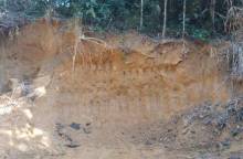 ছবি: সান নিউজ