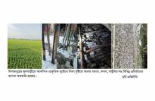 ফুলবাড়ীতে শিলা বৃষ্টিতে ব্যাপক ক্ষয়ক্ষতি