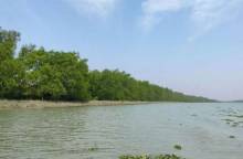 ১ জুন থেকে ৩১ আগস্ট পর্যন্ত ৩ মাস  সুন্দরবনে প্রবেশ নিষিদ্ধ