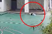 ধানমন্ডিতে ৮তলা থেকে ফেলে গৃহকর্মীকে হত্যার অভিযোগ: দম্পতি আটক