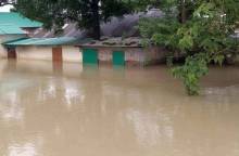 ছবি: সংগৃহিত