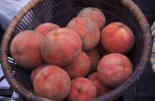 ছবি: সংগৃহিত