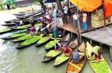 জমে উঠেছে ঝালকাঠির ভিমরুলী ভাসমান পেয়ারার হাট